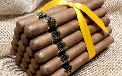 Corona Extra (46×6)