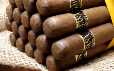 Grand Havana (64×5 1/2)