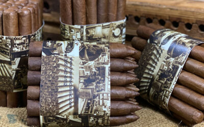 Havana Classic Plain Bundle-Habano