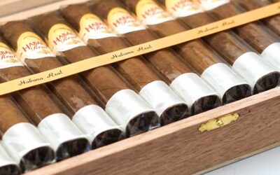 Robusto Habana Real 25bx (50×5)