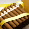 Thick Corona (58×61/2) - Image 3