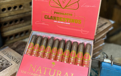 Predilecto – Toro/Habano (Natural) 52 x 6